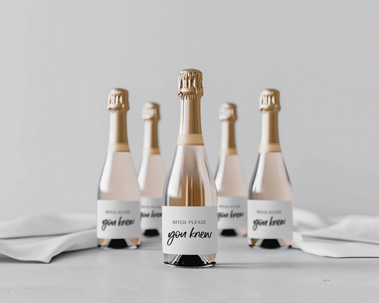 Bitch Please You Knew - Mini Champagne Labels-Wine Bottle Labels-Bridesmaid Proposal-Bridal Party Gift-Plum Grove Design