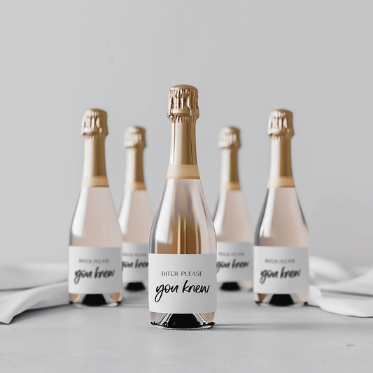 Bitch Please You Knew - Mini Champagne Labels-Wine Bottle Labels-Bridesmaid Proposal-Bridal Party Gift-Plum Grove Design